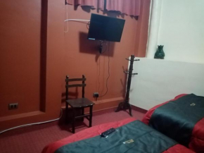 Hostal Will house
